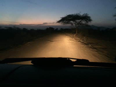 Evening drive through Awash National Park