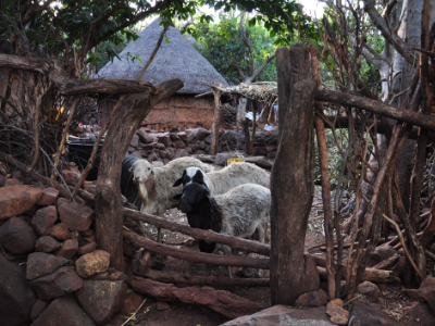 Compound in a Konso village