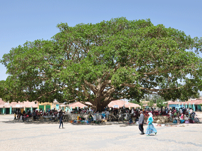 Axum's Saturday basket market.