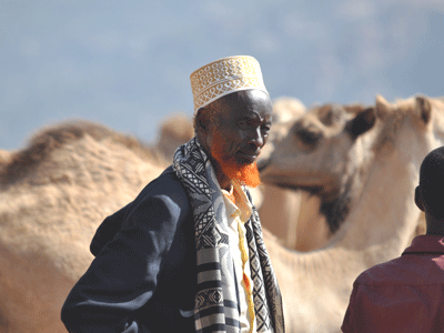 At the camel market near Harar