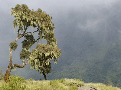 Simien Mountains National Park.