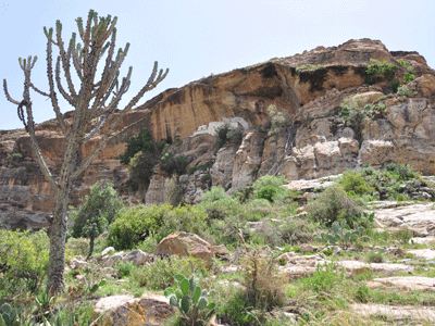 There are numerous rock churches throughout the Tigrayan countryside